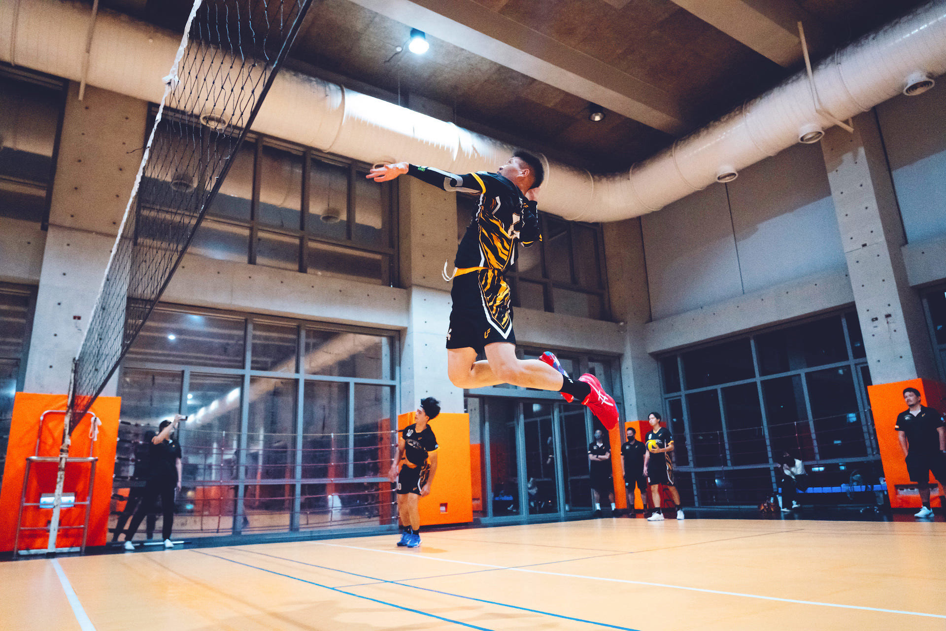 伊斯特動力排球俱樂部 伊斯特動力排球俱樂部