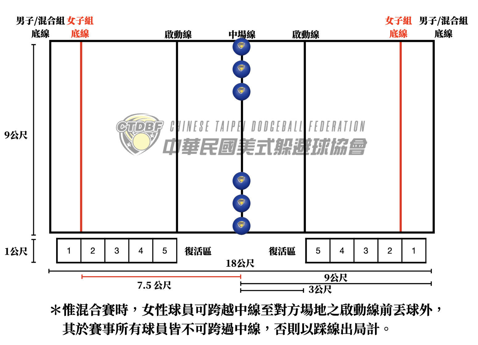 美式躲避球場地規格