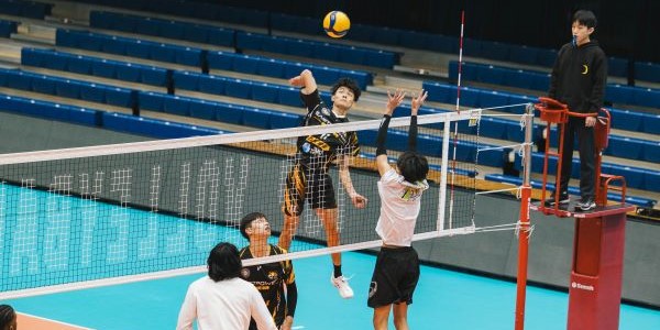 排球常見戰術與基本規則介紹：六人團戰的緊張秘密